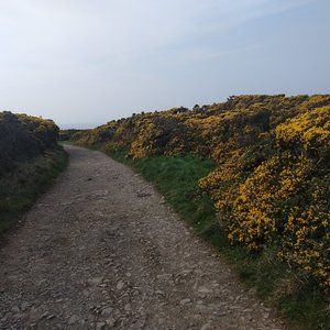 Meet your Posher, Bernadette